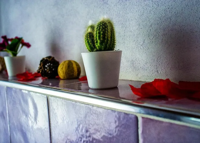 Bed & Breakfast Il Casale Di David Pontedera